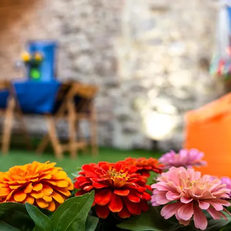 Apartamento Lo Scacciapensieri *