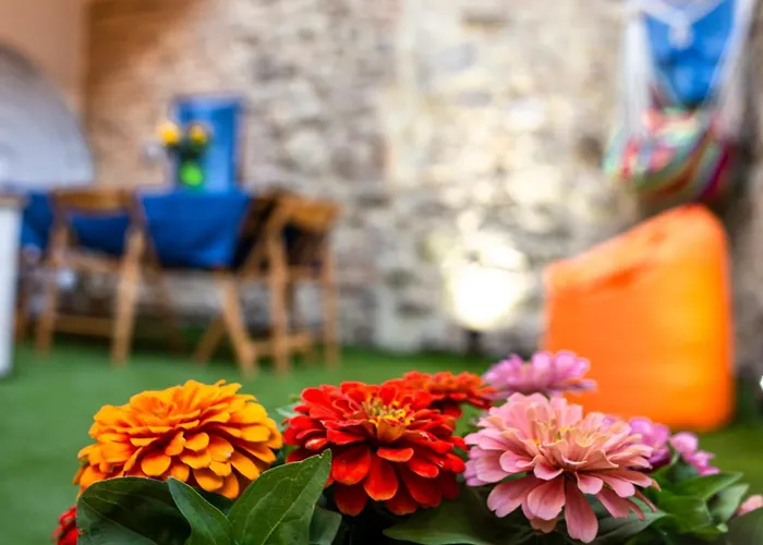 Apartament Lo Scacciapensieri *